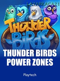 Power Zones Thunder Birds